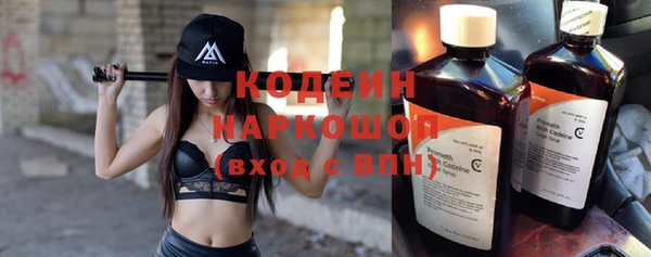 прущие грибы Абаза