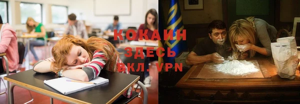 прущие грибы Абаза