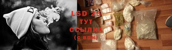 прущие грибы Абаза