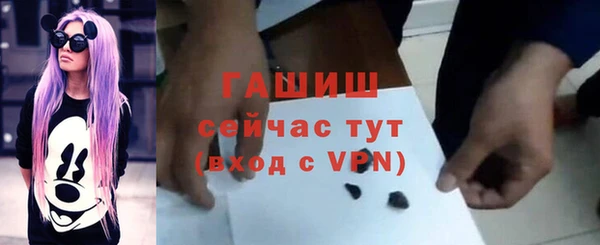 прущие грибы Абаза