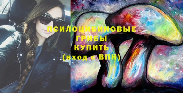 прущие грибы Абаза