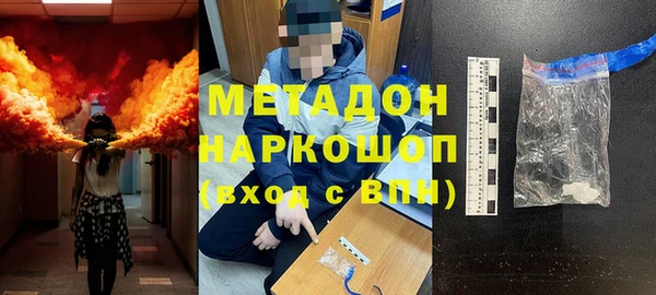 прущие грибы Абаза