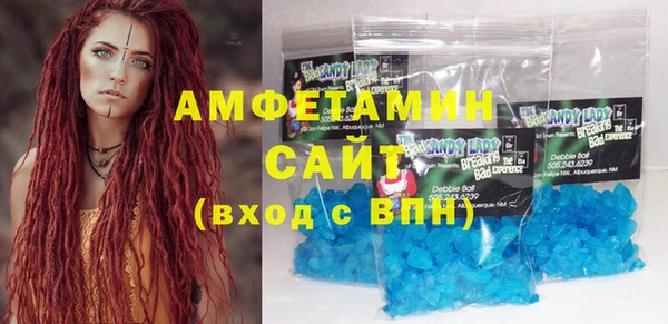 прущие грибы Абаза