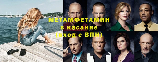 прущие грибы Абаза